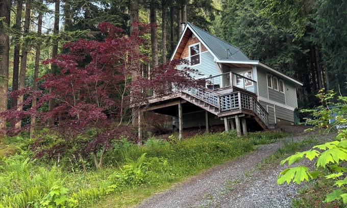 Lime Kiln Cabina | Cozy Cabin by Lake Cavanough