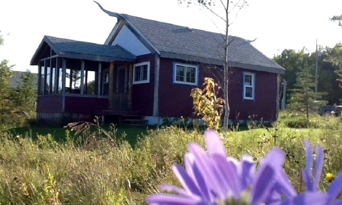 Manitoba Cabaña | Cozy cabin near RMNP with screened-in deck, forest and meadow views
