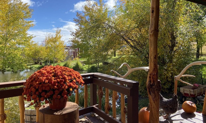 Broadwater County Cabina | Cozy cabin nestled beside a spring-fed pond&hobby farm in the Elkhorn Mountains