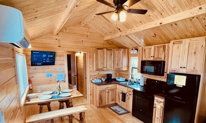 Hector Cabina | Cozy Cabin on Seneca Wine Trail Vineyard View 5