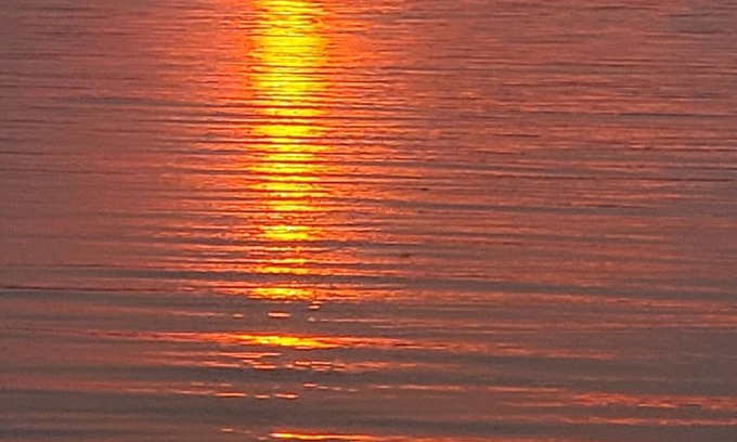 Camano Island Cabina | Cozy cabin with AC & WiFi in charming Camano Island. Walk to beach.