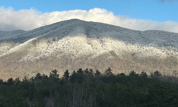Tellico Plains Cabina | Cozy cabin with a million dollar view of the Cherokee Mountains