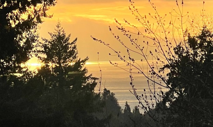 Cordova Bay Casa | Cozy Cordova Bay Suite - 5min from beach!