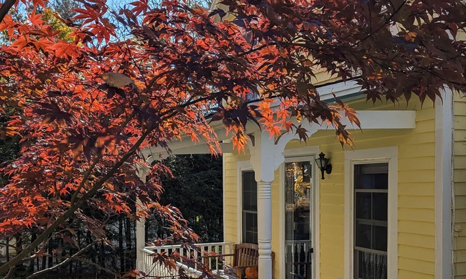 Norfolk Cabaña | Cozy Cottage in Historic Norfolk