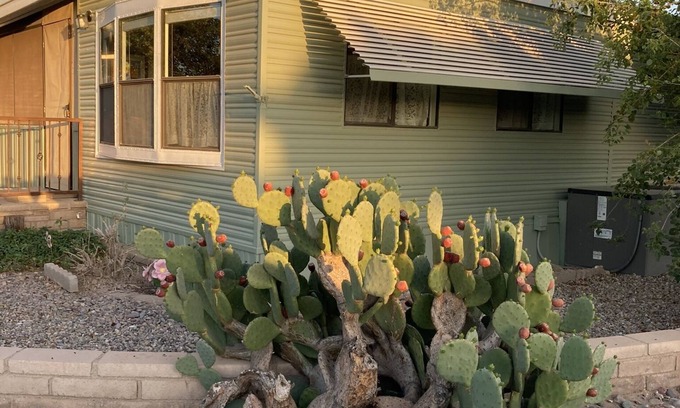 Yuma Cabaña | Cozy cottage in premier active 55+ resort.