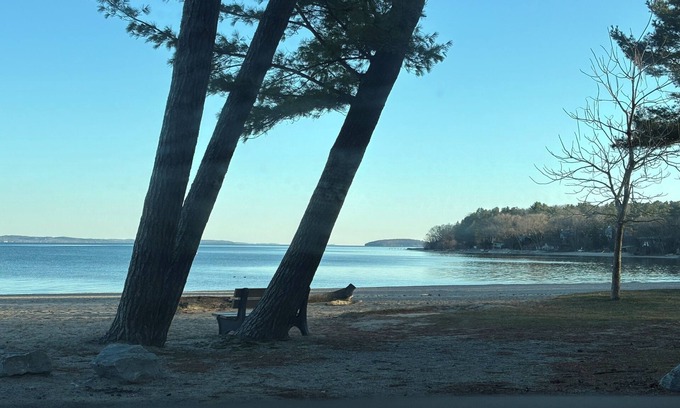 Traverse City Casa | Cozy cottage in the heart of Traverse City. Short walk to beach and downtown!