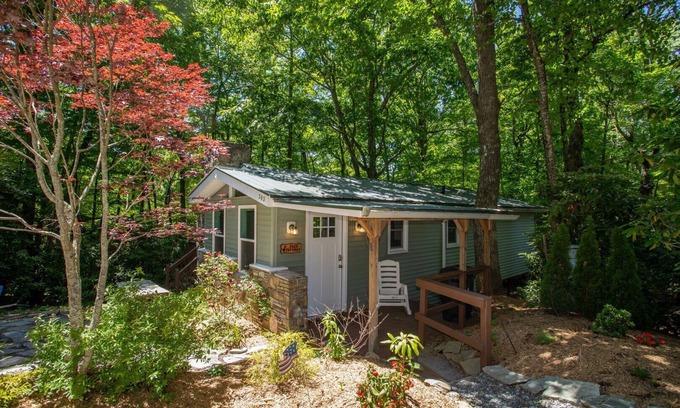 Boone Casa | Cozy Cottage - Located on App Ski Mtn Lower level game room, Firepit