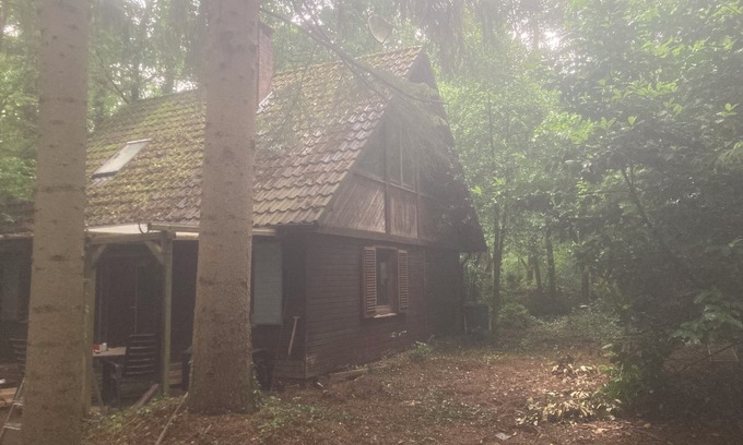 Sandhatten Cabina | Cozy cottage on idyllic forest property * Dogs welcome 🐕🐶