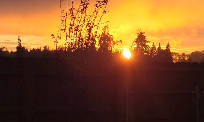 Sequim Apartamento | Cozy Cottage Retreat – Private Yard, Sunset Views & Peninsula Access