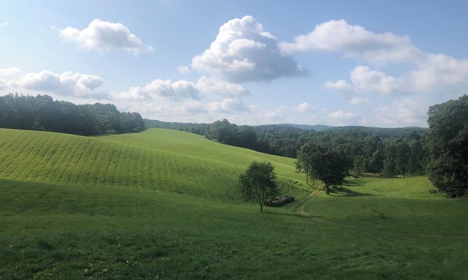 Christiansburg Casa | Cozy cottage with amazing views just 10 minutes to Blacksburg. Pet-friendly!