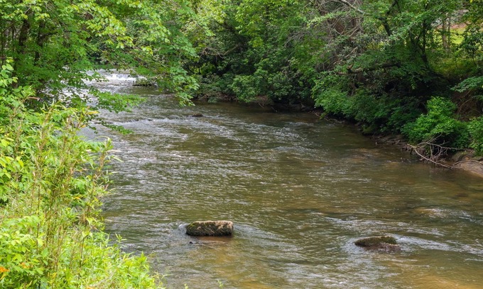 Epworth Cabina | Cozy creek side getaway minutes from Downtown Blue Ridge!