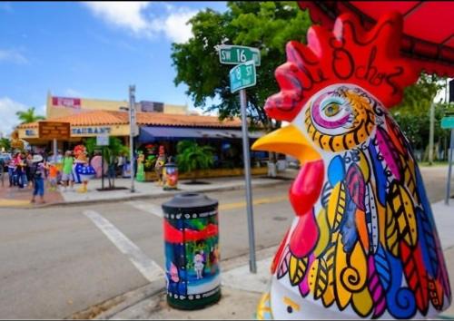 East Little Havana Apartamento | Cozy Entire apartment in the heart of Miami