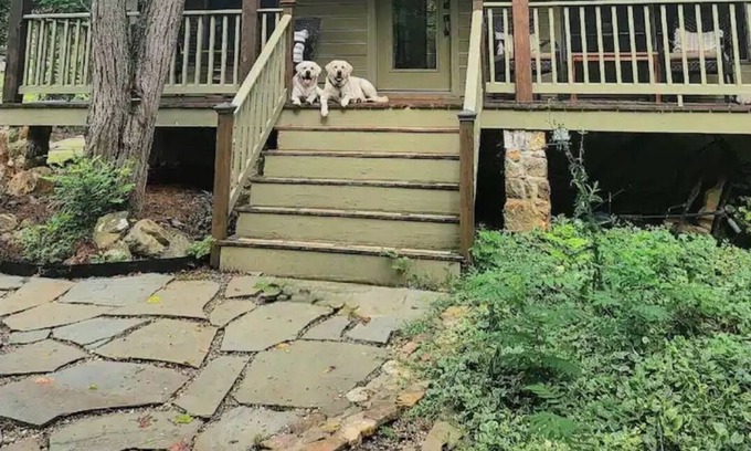 Leesburg Cabaña | Cozy Farm Cottage on secluded 14 acre farm on the outskirts of Leesburg