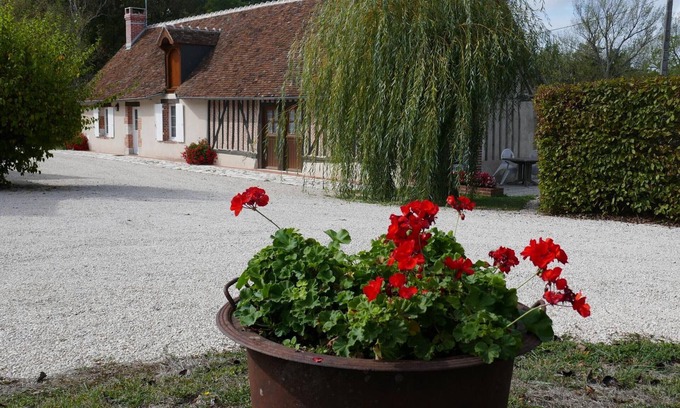 Cour-Cheverny Cabaña | Gîte chaleureux à Cour-Cheverny: terrasse, pêche, proche Châteaux de la Loire, animaux acceptés