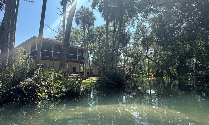 Brooksville Casa | Cozy home, beautiful views & swimming in a spring fed river among a wooded yard