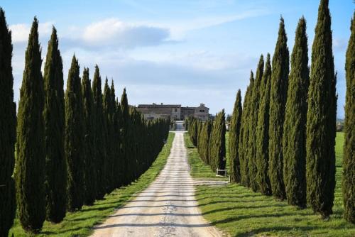 Asciano Apartamento | Cozy home in countryside Asciano Siena -renovated!