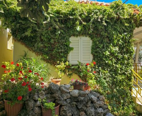 Dhermi Hotel | Cozy Hotel Dhermi