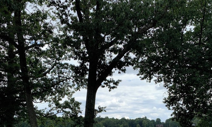 Fosterdale Apartamento | Cozy Lake View Apartment in Lake Huntington