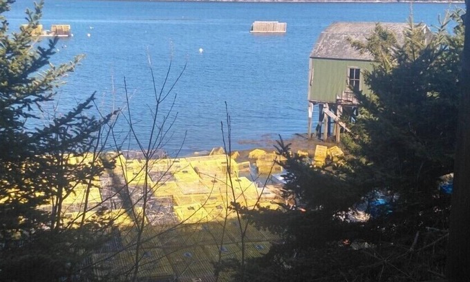 Sebascodegan Island Apartamento | Cozy Maine Get-Away: Cundy's Harbor, Harpswell
