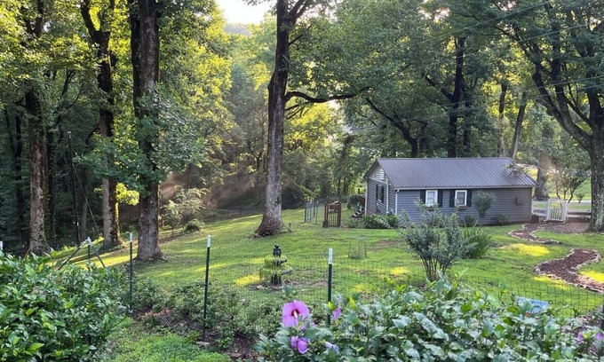 Jasper Cabina | Cozy mountain cabin on 15 acre Animal Sanctuary