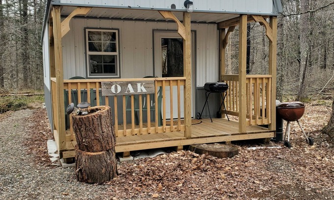 Goodman Cabina | Cozy Northwoods Mini Cabin.....**SAUNA/HOT TUB**ATV/SNOWMOBILE TRAILS**