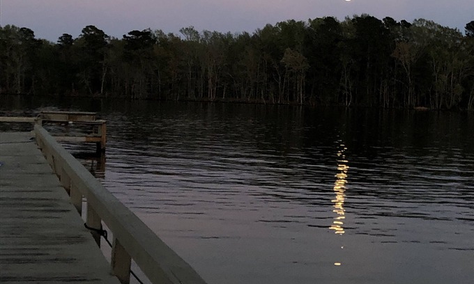 Summerton Casa | Cozy & Peaceful 3 bed 2 bath On the Water