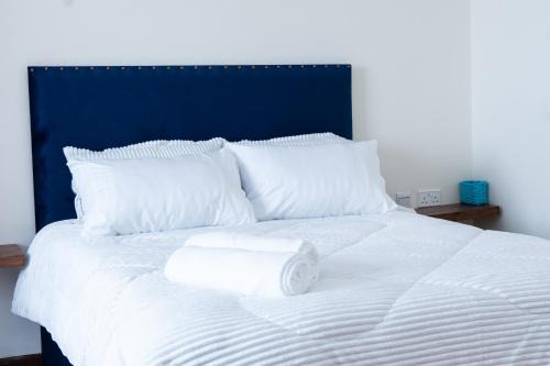 Kilimani Apartamento | Cozy Penthouse by Hush