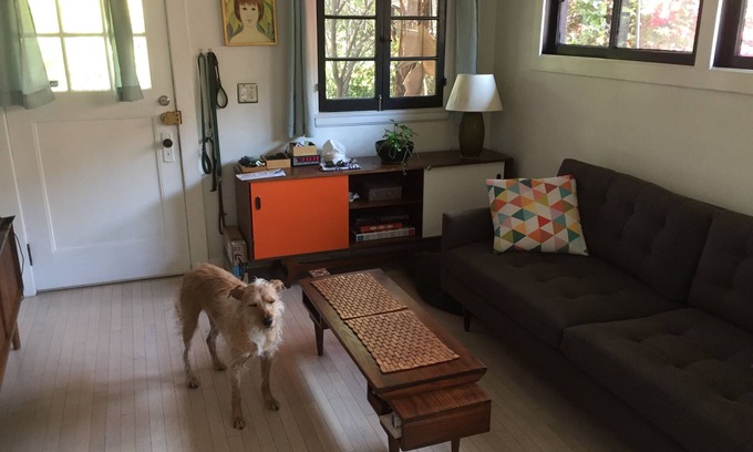 Elysian Heights Casa | Cozy, Pet-Friendly Echo Park Bungalow with a patio & yard