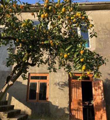 Kobuleti Casa | Cozy place in mountains of Ajaria