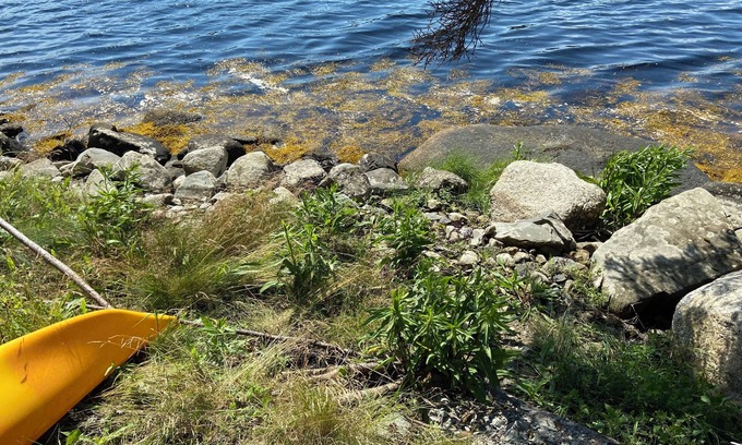 Spry Bay Cabaña | Cozy private waterfront cottage on the Eastern shore. Just 1.5hrs from Halifax..