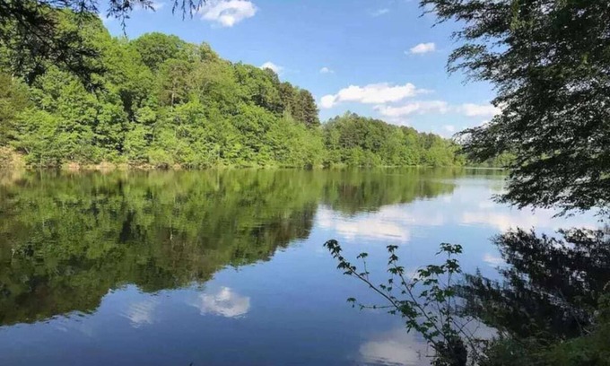 Bahama Casa | Cozy & relaxing cottage on the lake *Dog Friendly*
