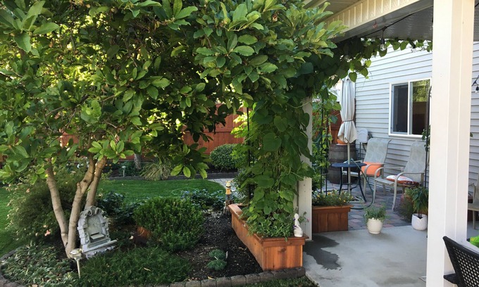 Kamloops Casa | Cozy retreat in Aberdeen Hills. Close to all amenities. Small dogs welcome.