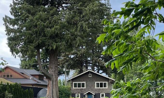 Harrison Hot Springs Cabaña | Cozy Riverside Cottage with Private Hot Tub