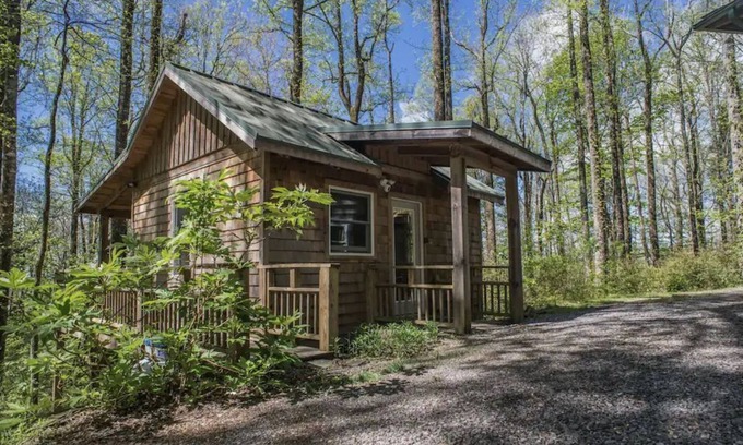Chimney Rock Cabina | Cozy Romantic, Pet Friendly, Craftsmen Cabin In The Woods, DISCOUNTED RATES
