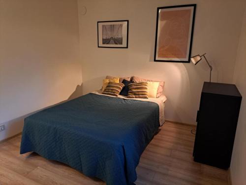 Aluksne Apartamento | Cozy Studio - 5 min to Lake & City