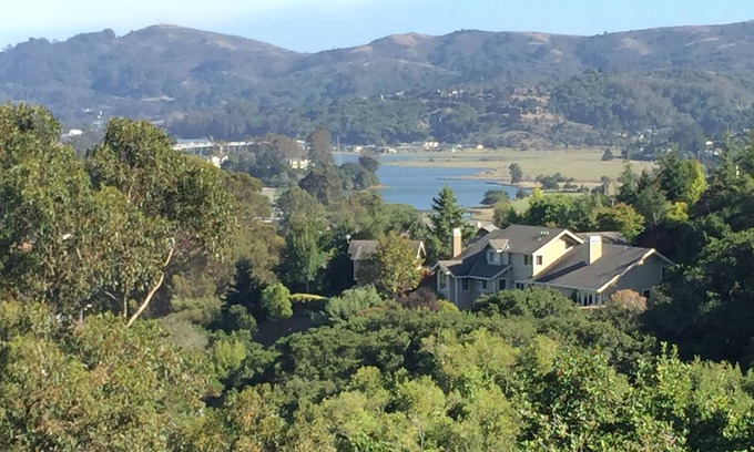 Mill Valley Apartamento | Estudio acogedor en las colinas de Mill Valley.