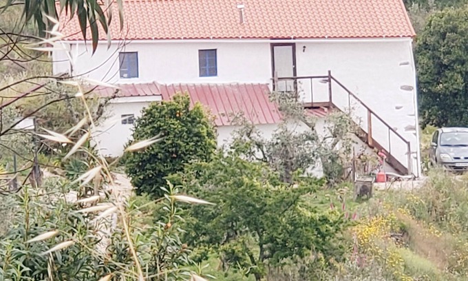 Macao Apartamento | Cozy studio in the mountains of Central Portugal! Vegan and pet friendly!