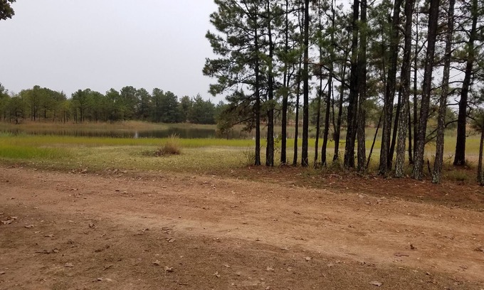 Antlers Apartamento | Cozy studio pet friendly cabin- private lake - fishing & swim - Cowgirl Cabin