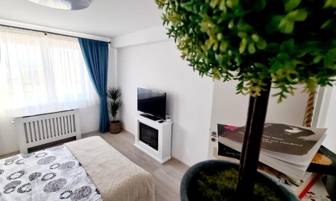 Tractorul Apartamento | Cozy Studio