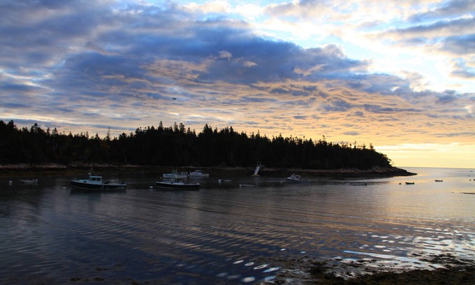 Birch Harbor Apartamento | Cozy studio with spectacular views of Bunker's Harbor in Birch Harbor!