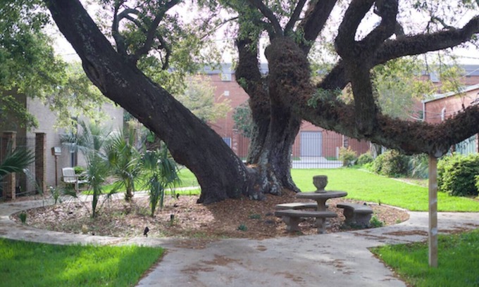 Pascagoula Apartamento | Cozy Stylish Executive Studio, Great Downtown Pascagoula Location