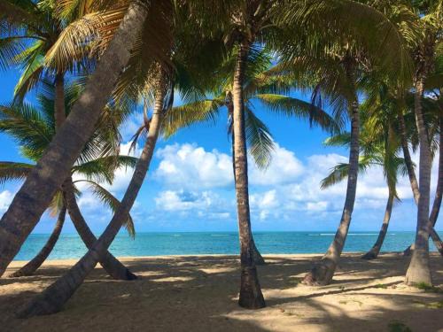 Zarzal Apartamento | Cozy suite at coco Beach , not pets