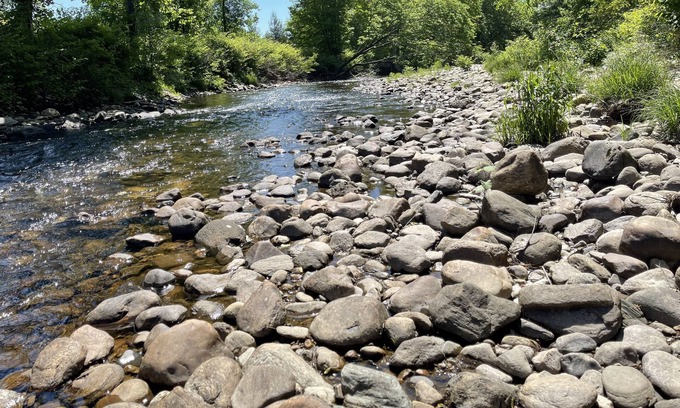 Ludlow Alquiler De RV | Cozy Tiny Home on Black River - Walk to Town!