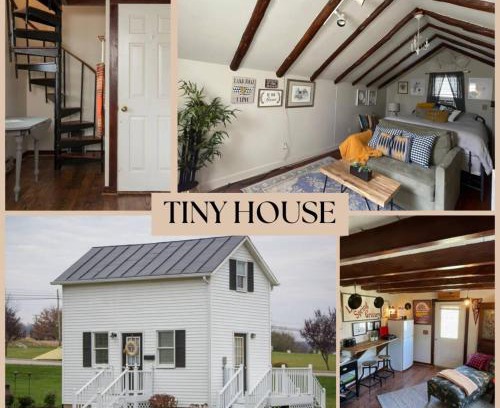Harrisonburg Casa | Cozy Tinyhouse Jmudowntown Fire Pit Yard