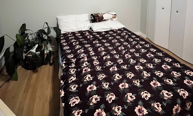 Lachine Apartamento | Cozy Urban Retreat