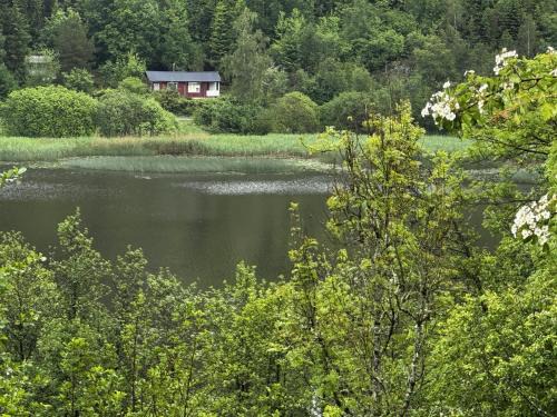 Hallevadsholm Casa | Cozy wilderness cabin at Kynnefjäll close to lake SE09081