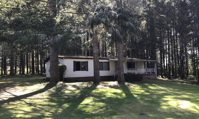 Grapeview Casa | cozy woods cabin with trail to private beach