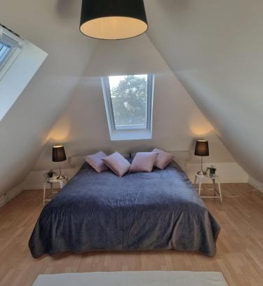 Taastrup Casa | CPH V home