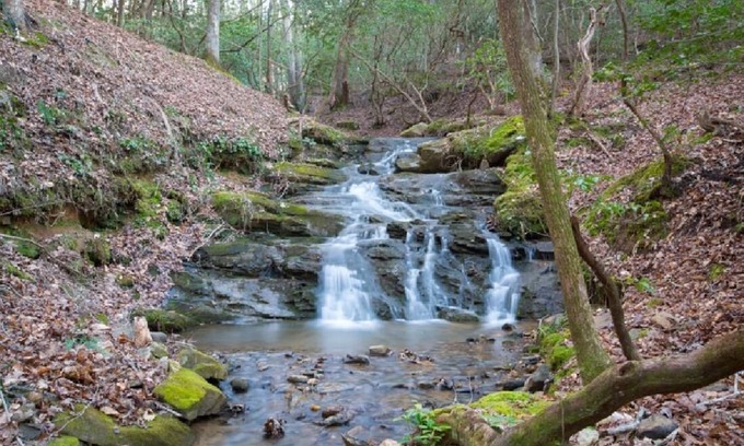 Ellijay Cabina | Creekfront Cabin with Waterfall. Hot Tub, Fire Pit, Gameroom, and more.
