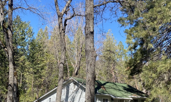 Oakhurst Casa | Cabina Bearfoot por el arroyo cerca de Yosemite